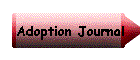 Adoption Journal