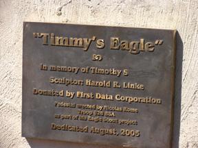 Timmy's Eagle