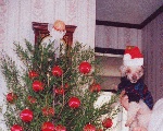 1995 Christmas Tree 
Pix