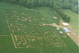 [Aerial view of the maze]