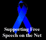 Free speech on the Internet
