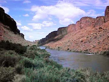 [Colorado River]