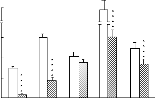 IMAGE Imgs/barfinal.doc02.GIF
