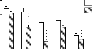 IMAGE Imgs/barfinal.doc04.GIF