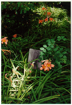 grave1[1]