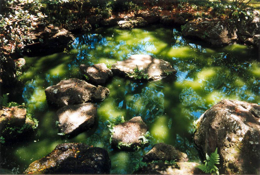 pond1[1]