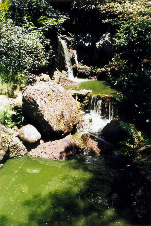 pond2[1]